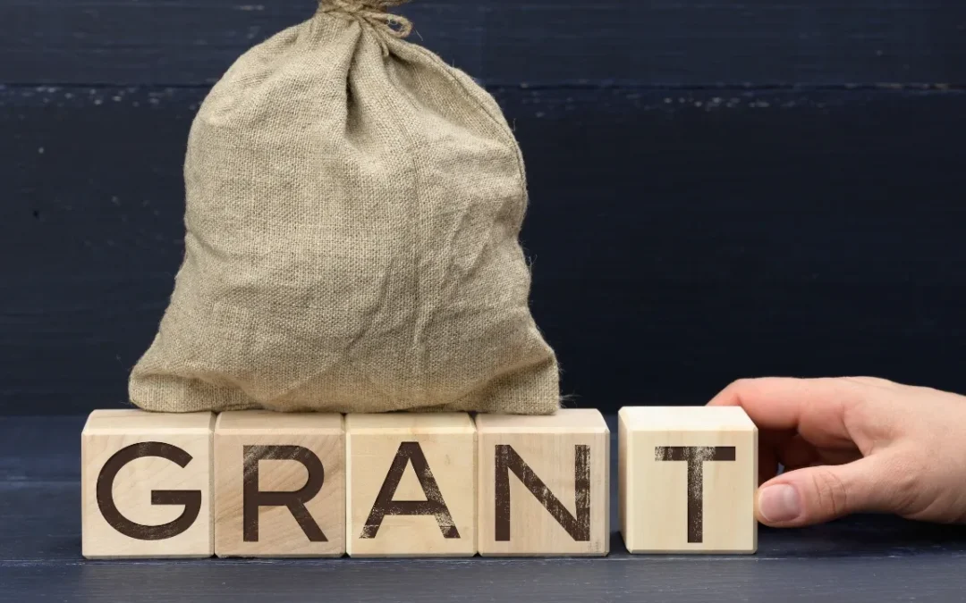 Grant Funding & the Benefit of Single Audits – Part II